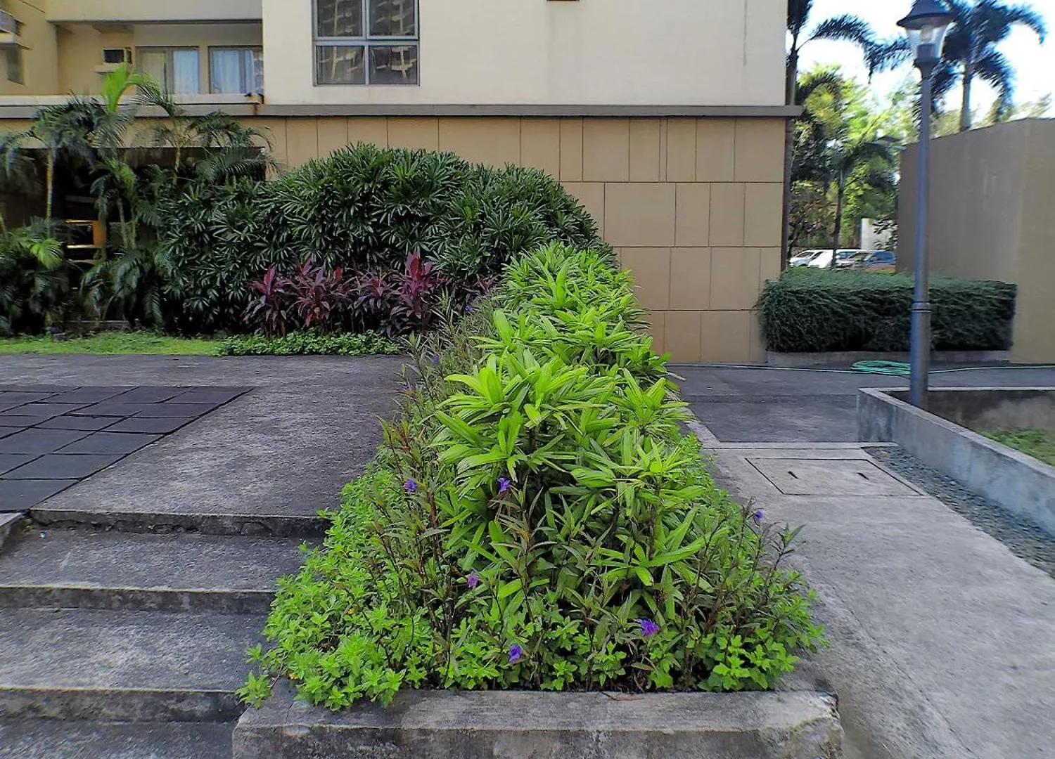 Infinity Staycation At Sucat Manila Philippines
