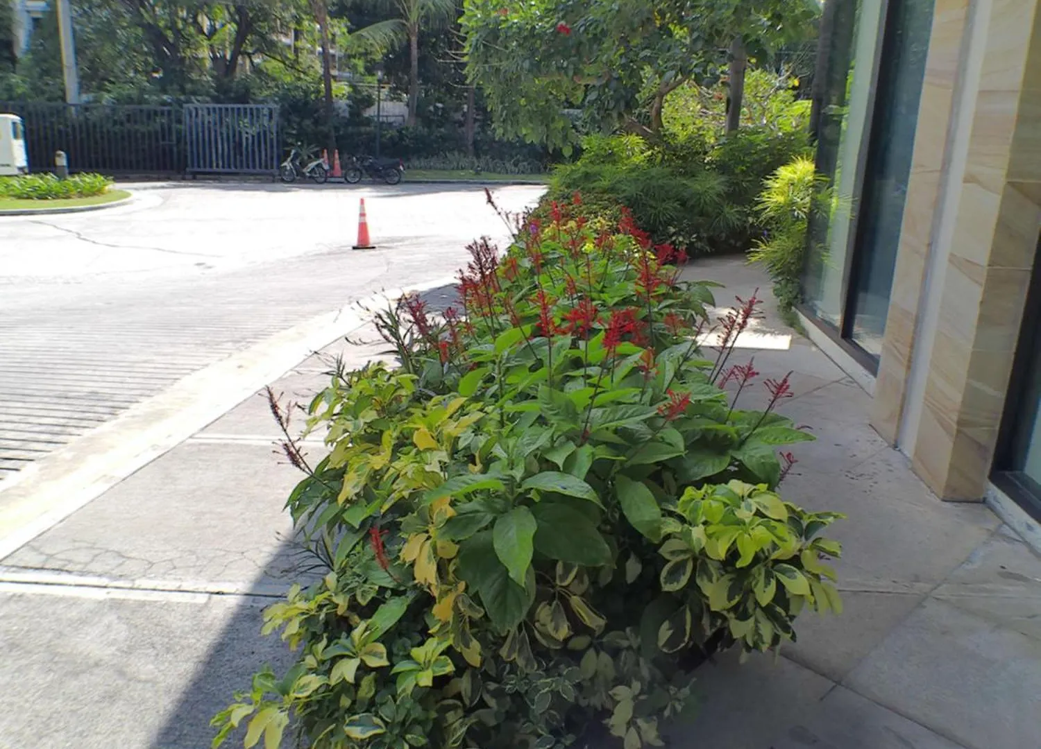 Infinity Staycation At Sucat Manila Philippines